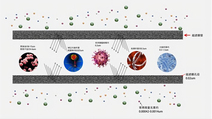 710公海线路检测生物